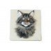 Custom needle felted cat portrait