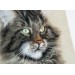 Custom needle felted cat portrait