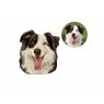 Custom dog portrait fridge magnet